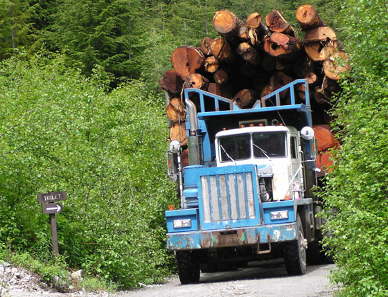 Logging Road Safety