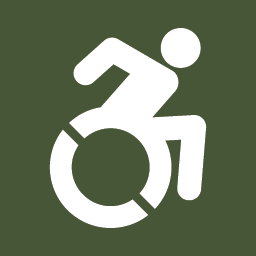 Disabled Person Accessible