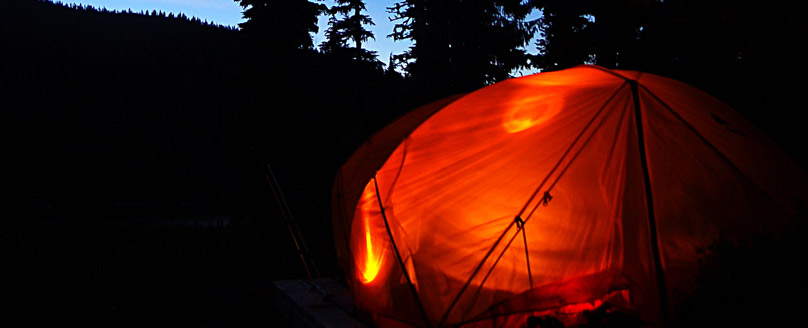 Russian Beef Patties Russian Beef Patties