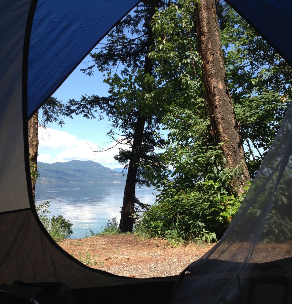 View from a tent 