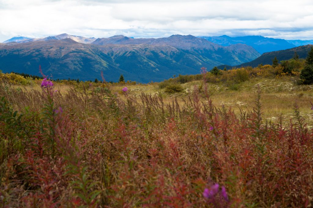 Exploring Northern British Columbia – a Circle Tour Adventure: Tour 2 Stewart-Cassiar Hwy