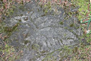 Petroglyph Park, Nanaimo