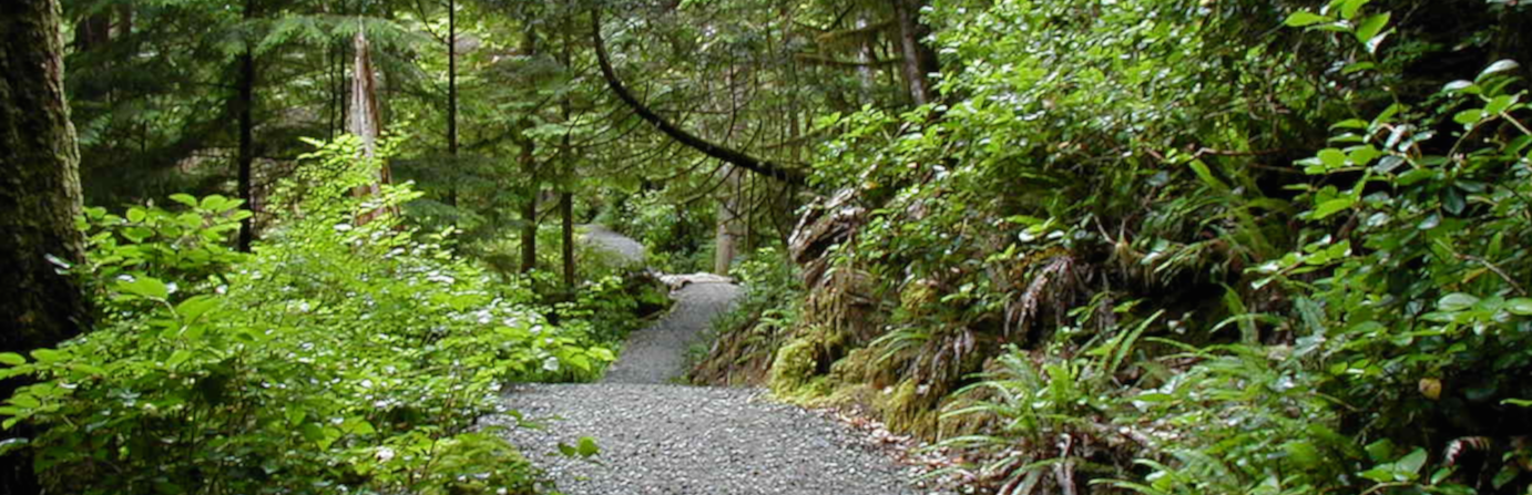 Carmanah Walbran Provincial Park