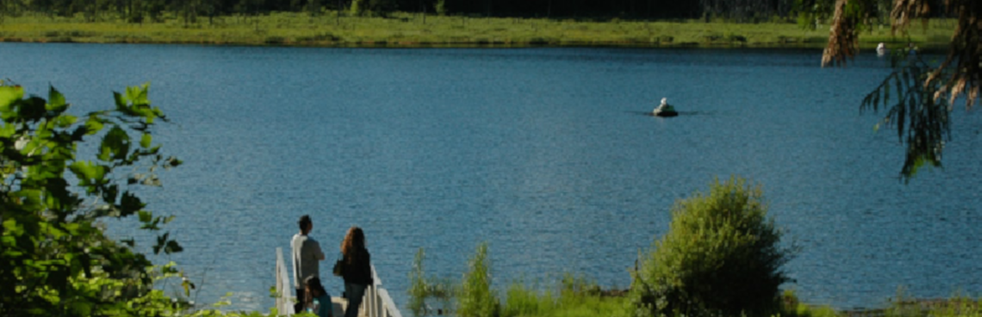 Golden Ears Provincial Park - Gold Creek Campground 