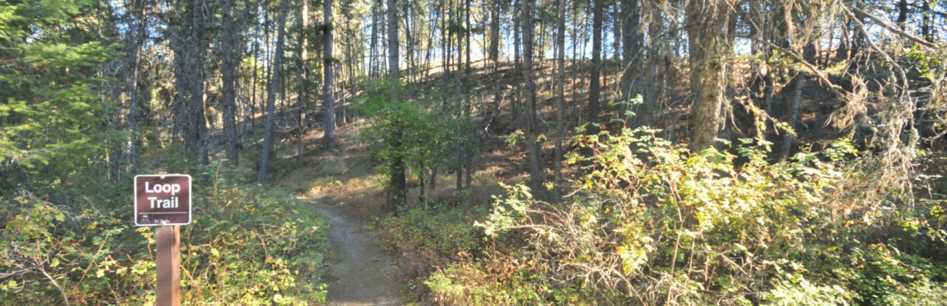 Johnstone Creek  Provincial Park