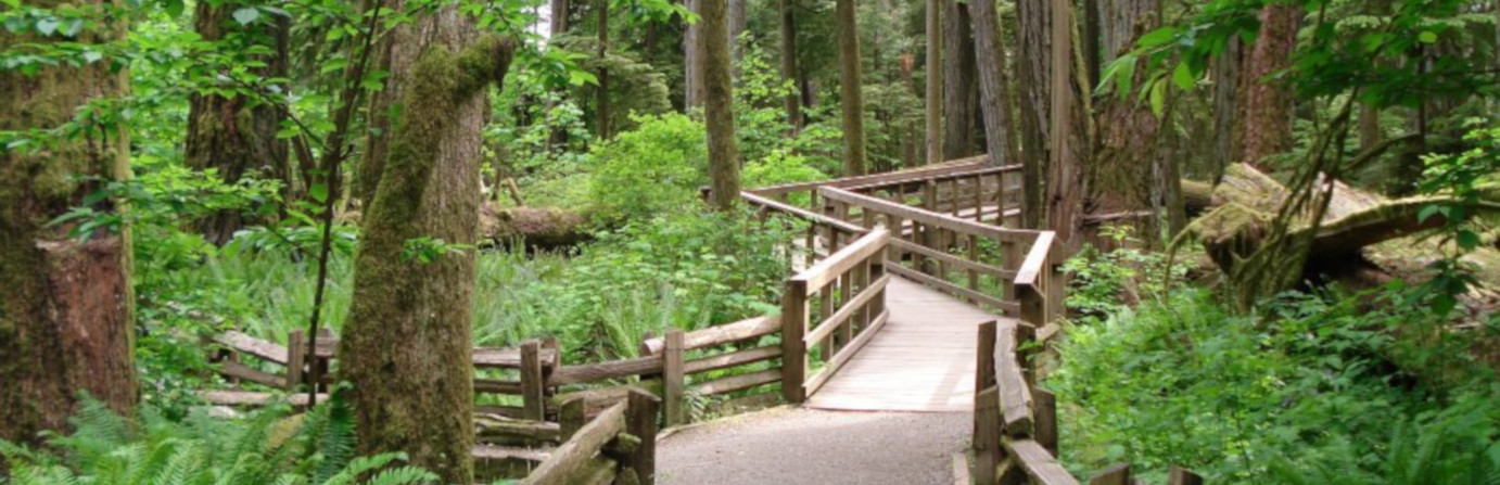 MacMillan (Cathedral Grove) Provincial Park