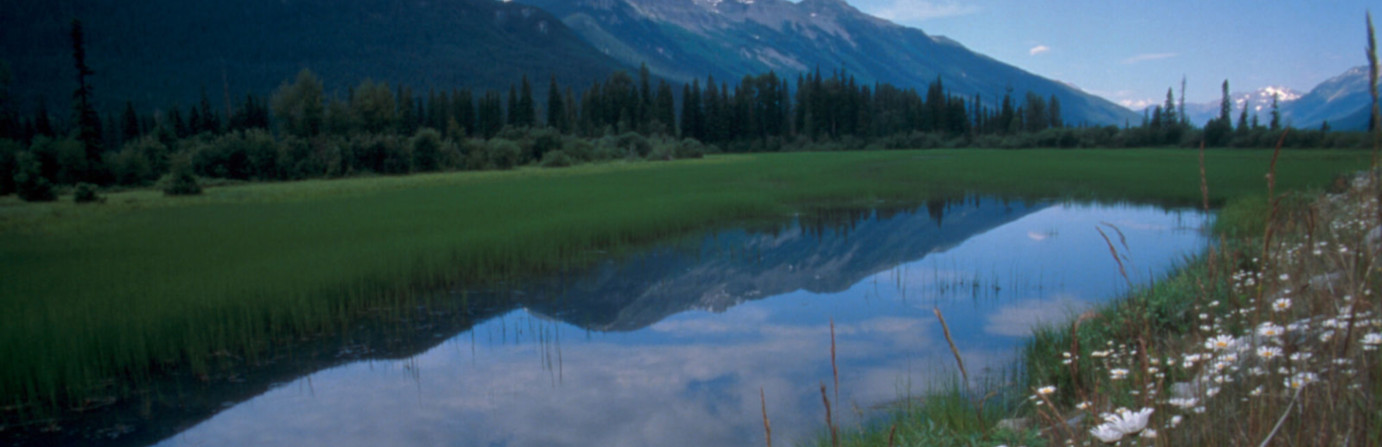 Mount Robson Provincial Park - Robson Meadows Campground