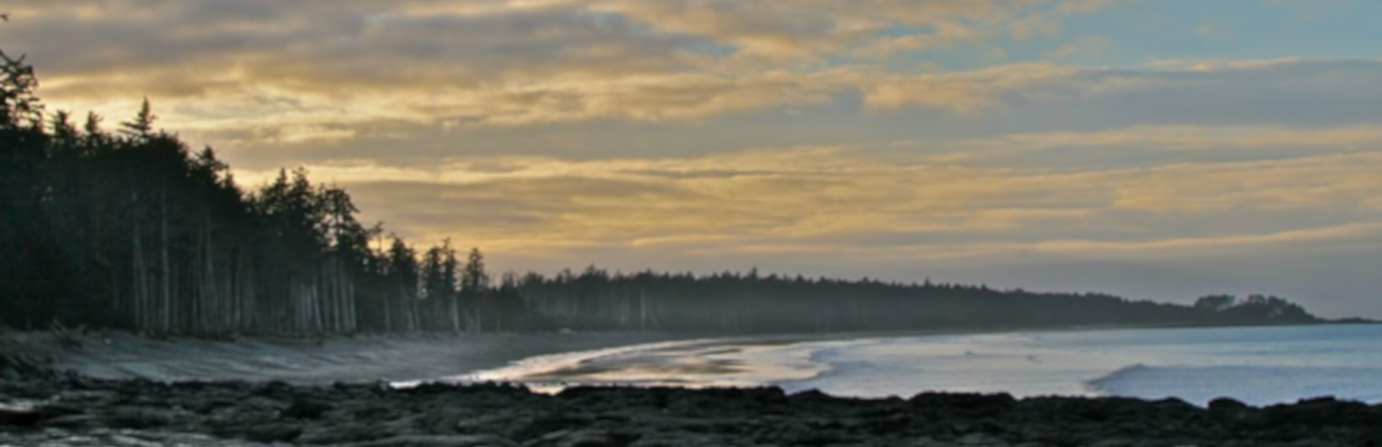 Naikoon Provincial Park - Agate Beach Campground 