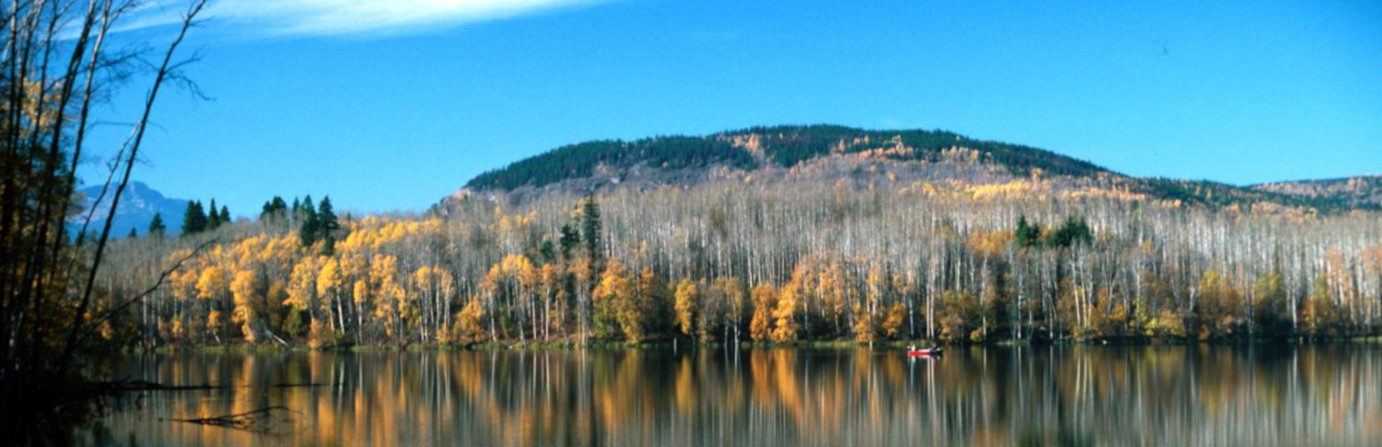 Ross Lake Provincial Park
