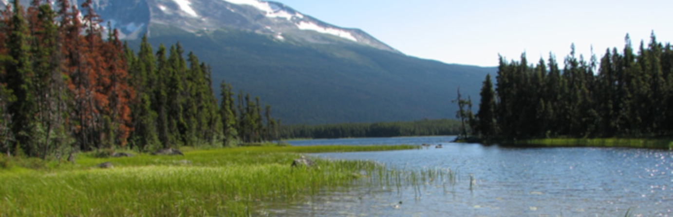 Tweedsmuir Provincial Park (South)