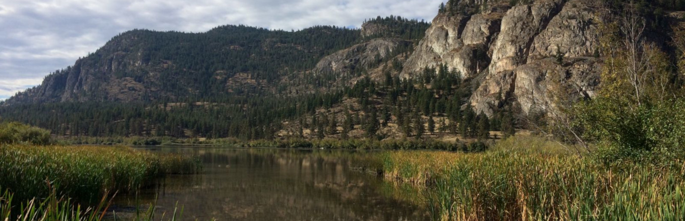 Vaseux Lake Provincial Park