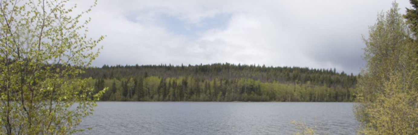 Badger Lake