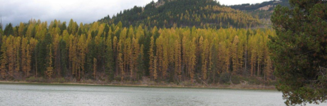 Fish Lake
