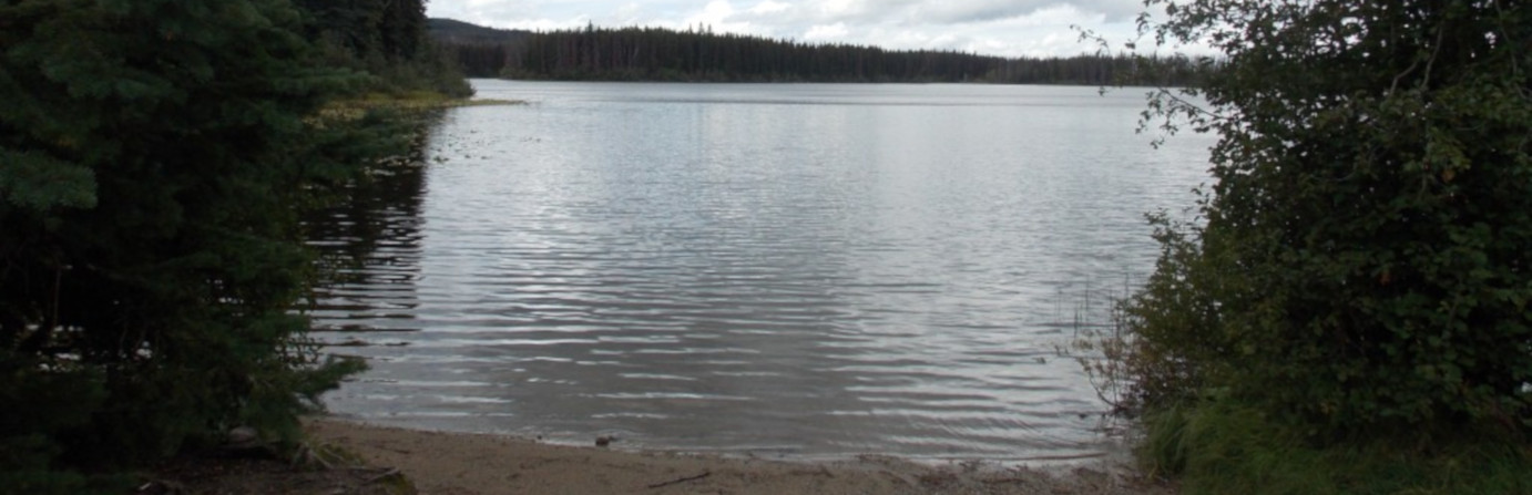 Island Lake
