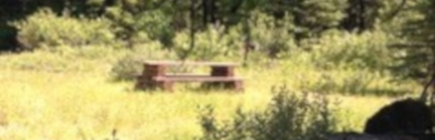 Kennelly Camp 2
