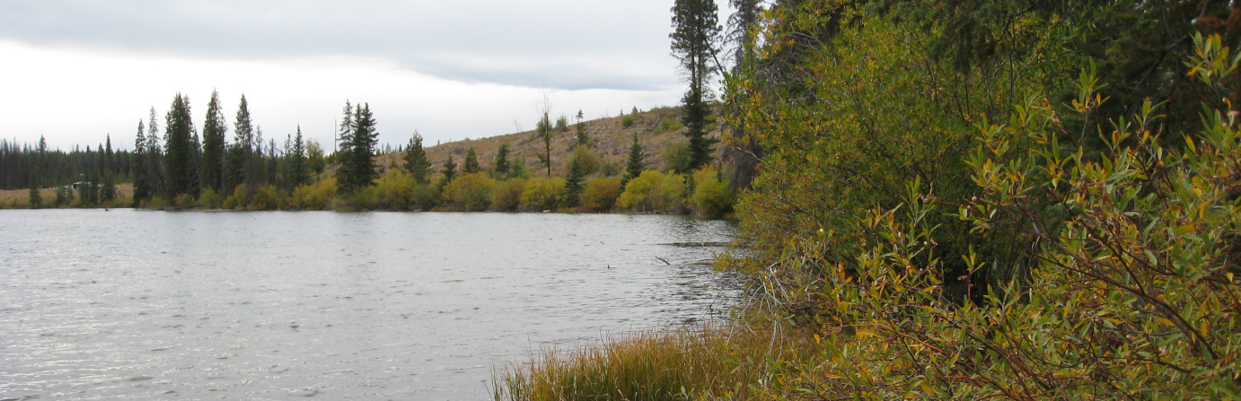 Lodgepole Lake