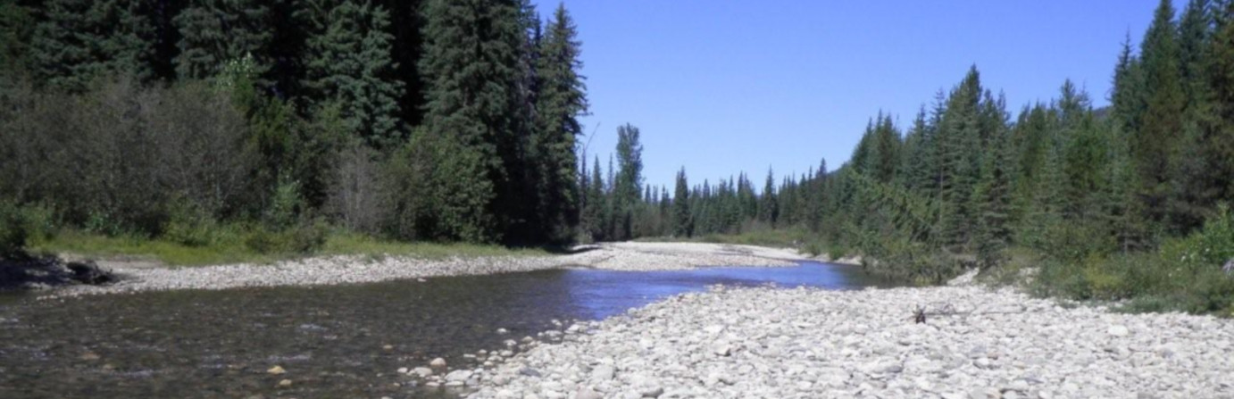 Mohr Creek