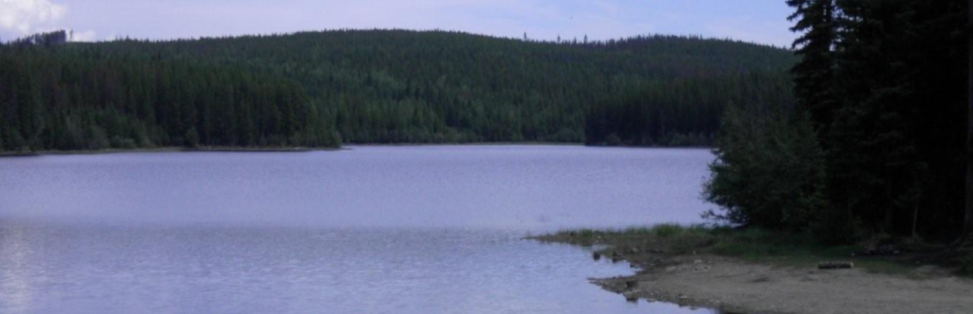 Moore (Bullman) Lake