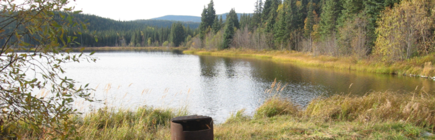 Morice Mtn Ski Trail / Silverthorne Lake Rec. Site
