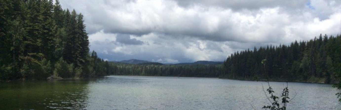 Paddy Lake