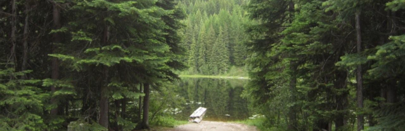 Pete Lake