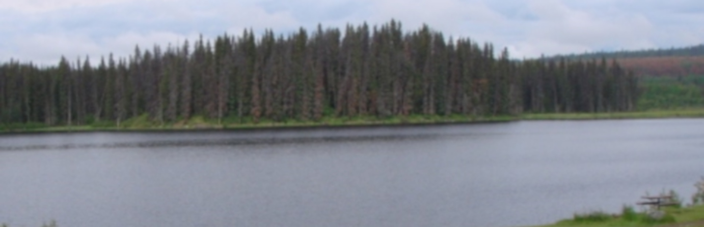 Shesta Lake