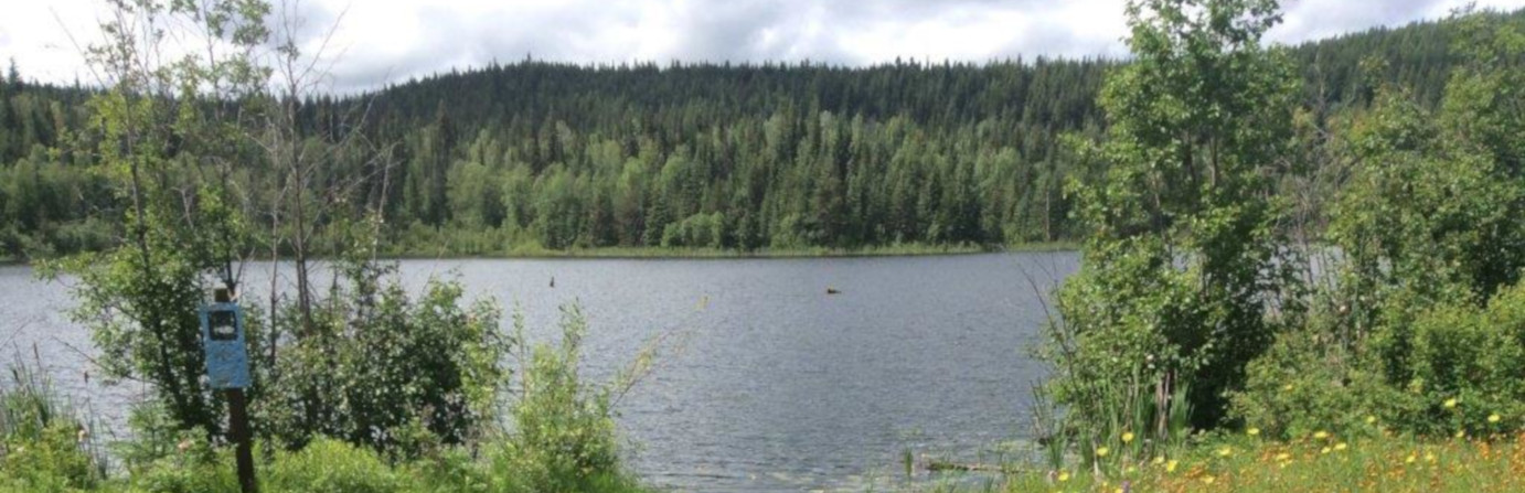Susan Lake