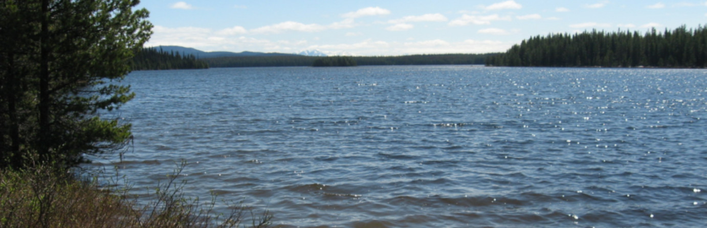Twinkle Lake