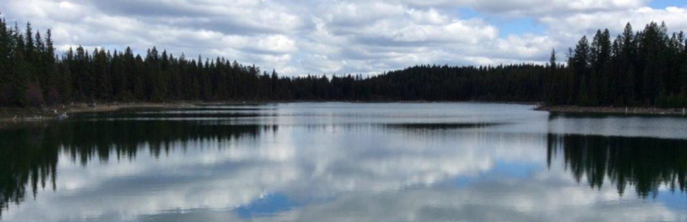 Whale Lake
