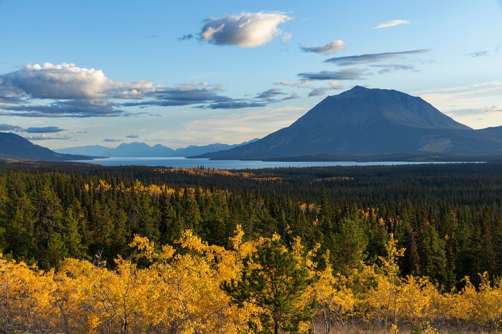 RV Adventures in Northern BC – Road to Atlin