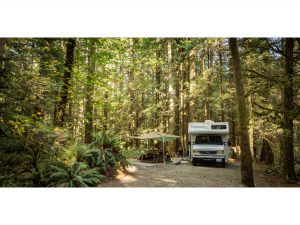 Goldstream campground online
