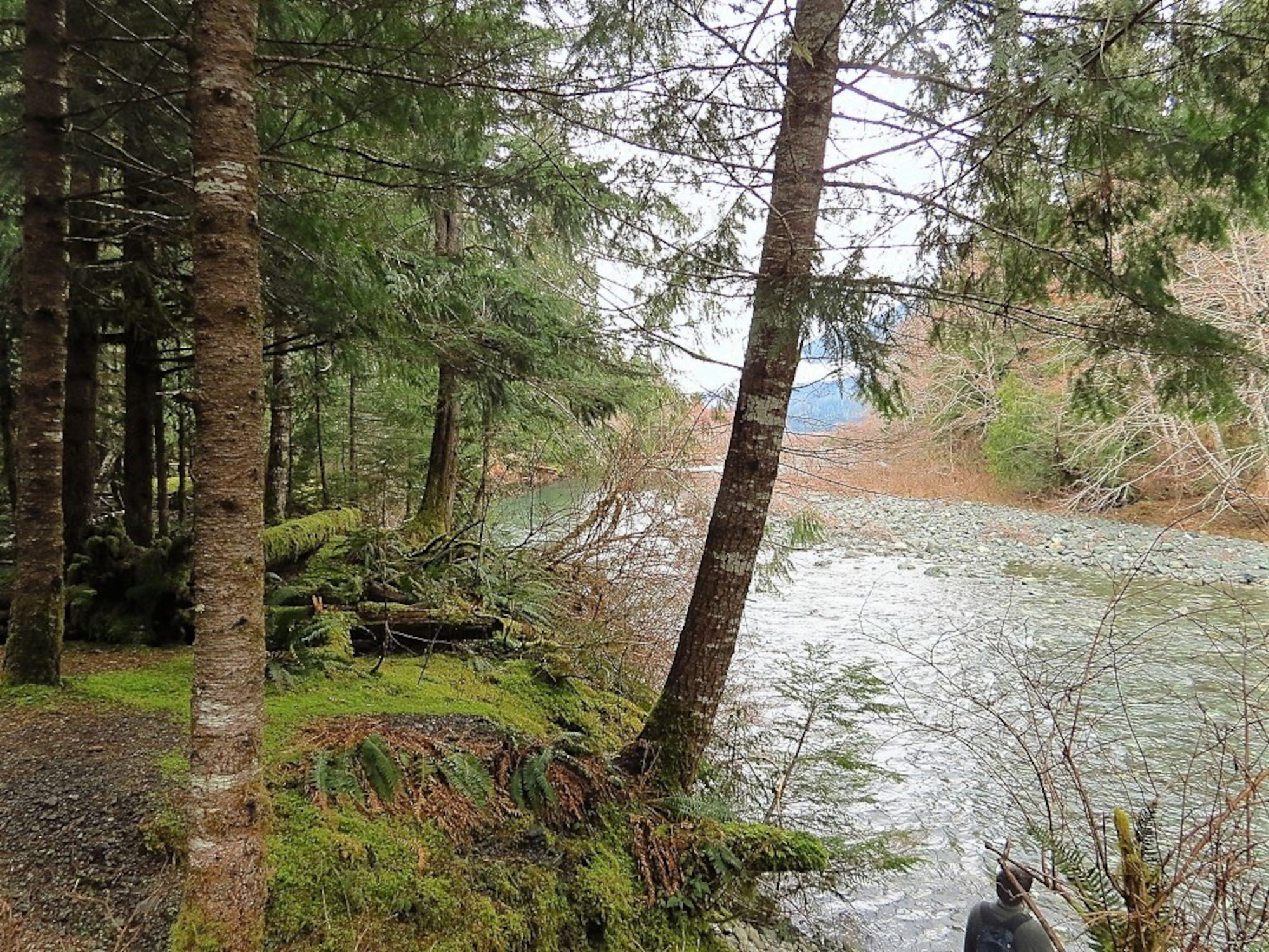 Strathcona Ravines Calgary Strathcona Provincial Park | Camping & RVing BC