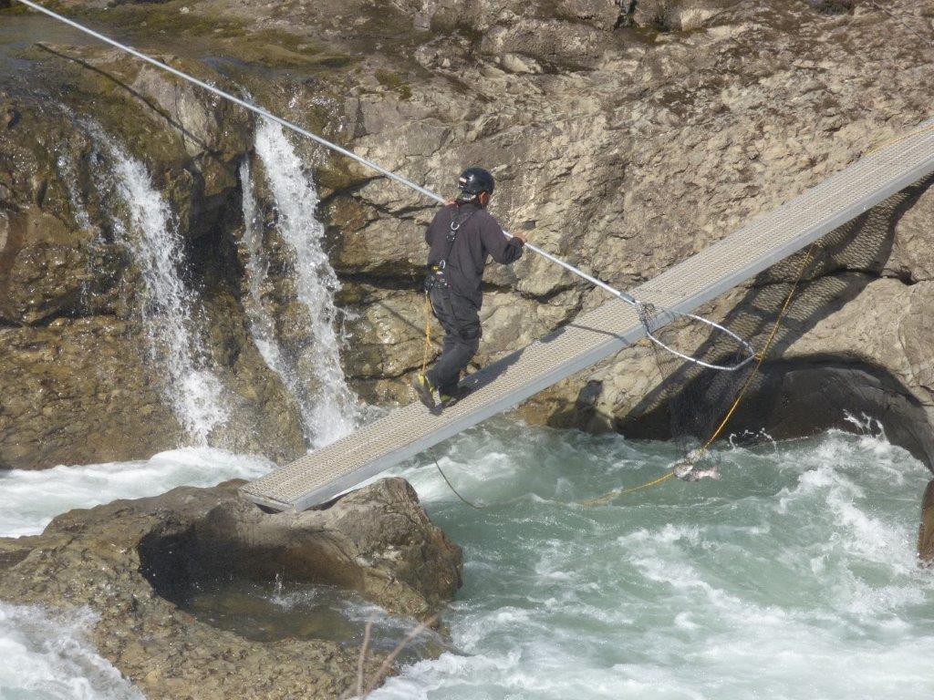 Dipnetting at Witset Falls