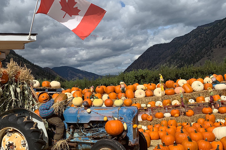 Discovering Camping in BC in the Fall Season