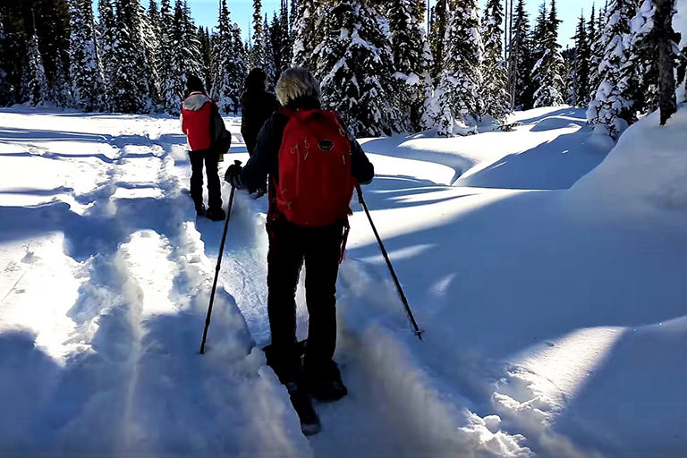 Snowshoeing