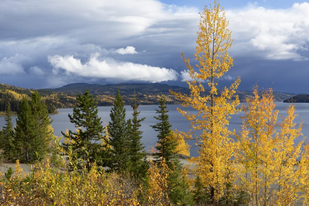 Dease Lake, British Columbia, Canada