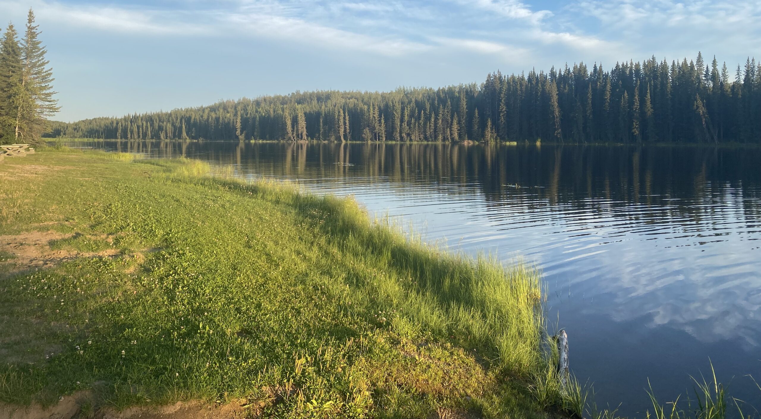 Andy Bailey Regional Campground